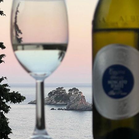 Seahaven Apartment Petrovac Екстериор снимка